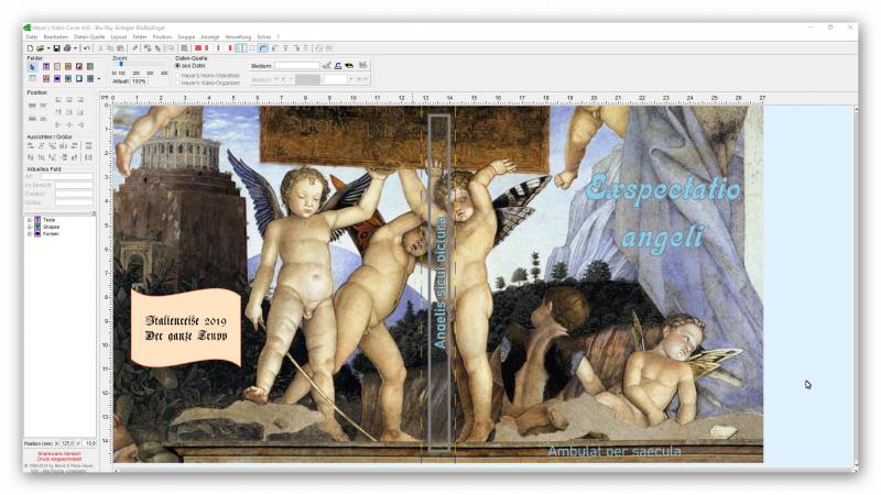 BluRayHüllen selbst drucken