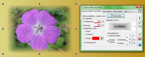 Zum Vergrößern anklicken! Heyer's Etiketten-Studio - Bild